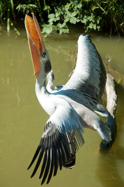 L&uuml;hrs - fotografie, ...und sonst 11